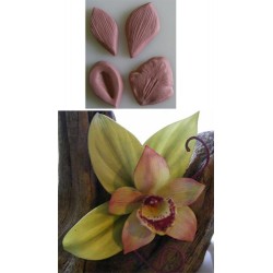 Cymbidium orkidé, silikonveiner