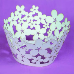 Blossom, cupcake wraps