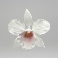Cattleya Orkidé, sockerblomma (M)
